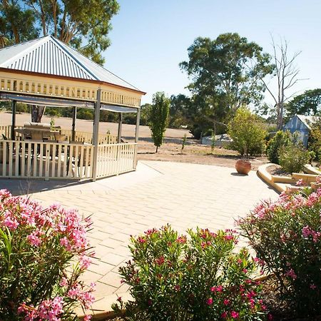 Barossa Vineyard Cottages Tanunda Extérieur photo