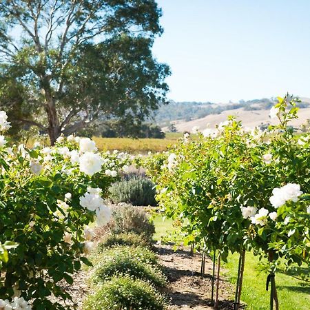 Barossa Vineyard Cottages Tanunda Extérieur photo