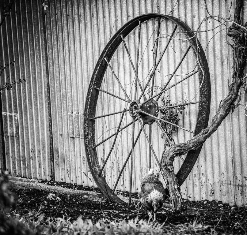 Barossa Vineyard Cottages Tanunda Extérieur photo