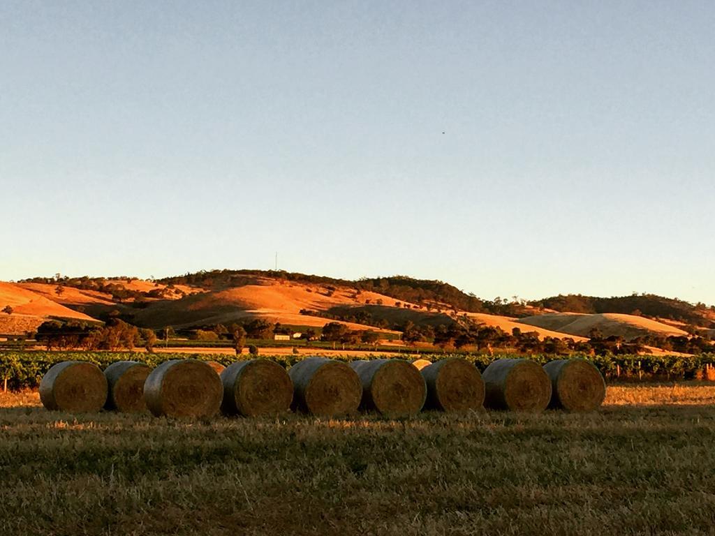 Barossa Vineyard Cottages Tanunda Extérieur photo