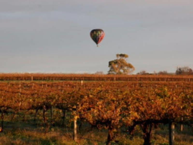 Barossa Vineyard Cottages Tanunda Extérieur photo