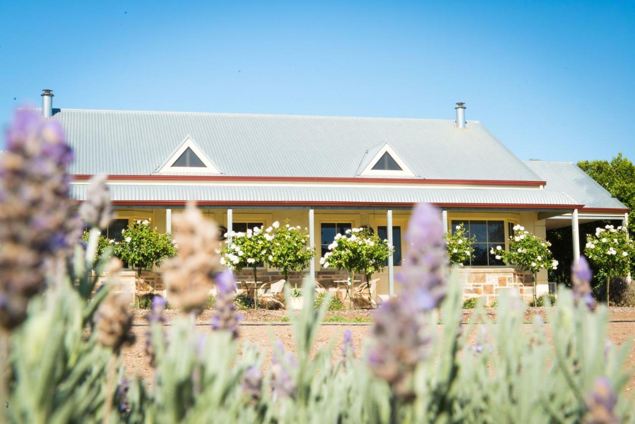 Barossa Vineyard Cottages Tanunda Extérieur photo