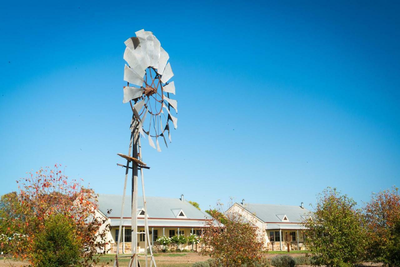 Barossa Vineyard Cottages Tanunda Extérieur photo